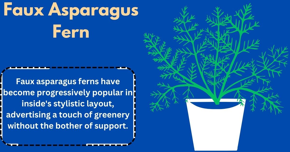 Faux Asparagus Fern