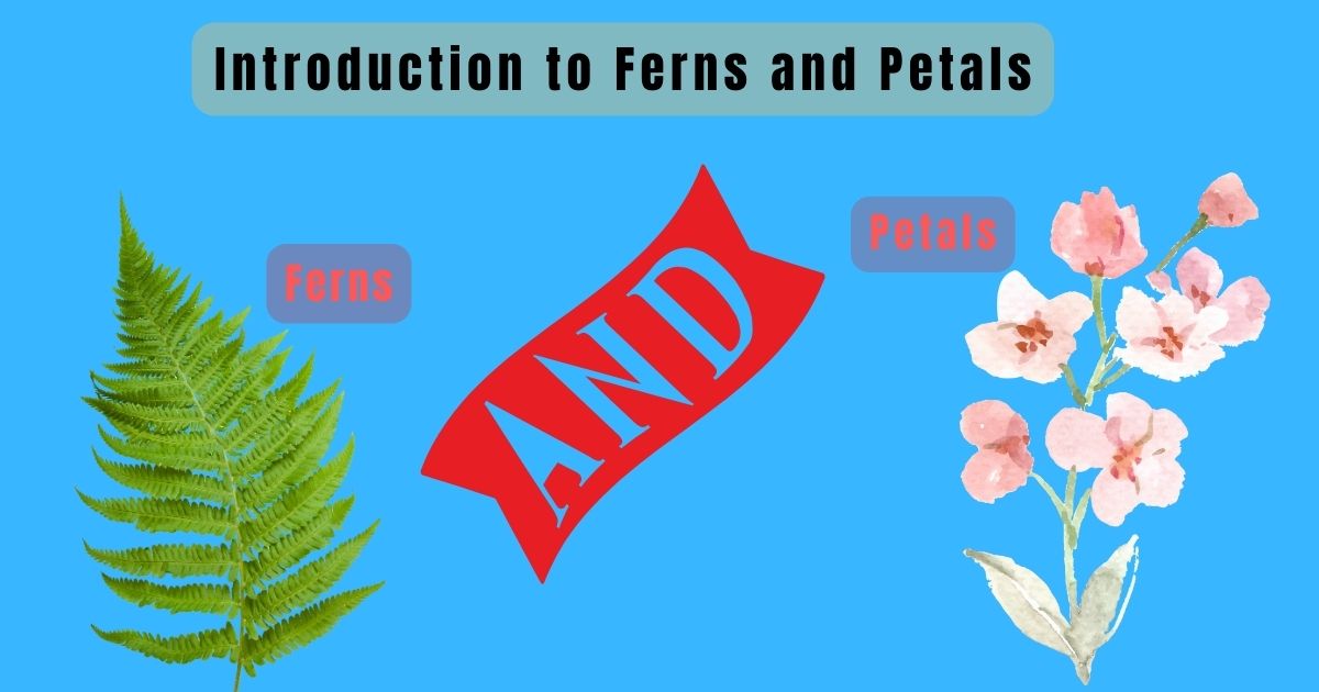 Introduction to Ferns and Petals