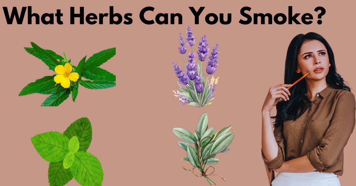 What Herbs Can You Smoke?