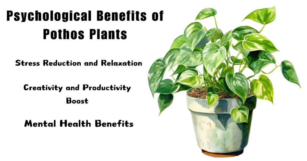 Pothos Plant Benefits