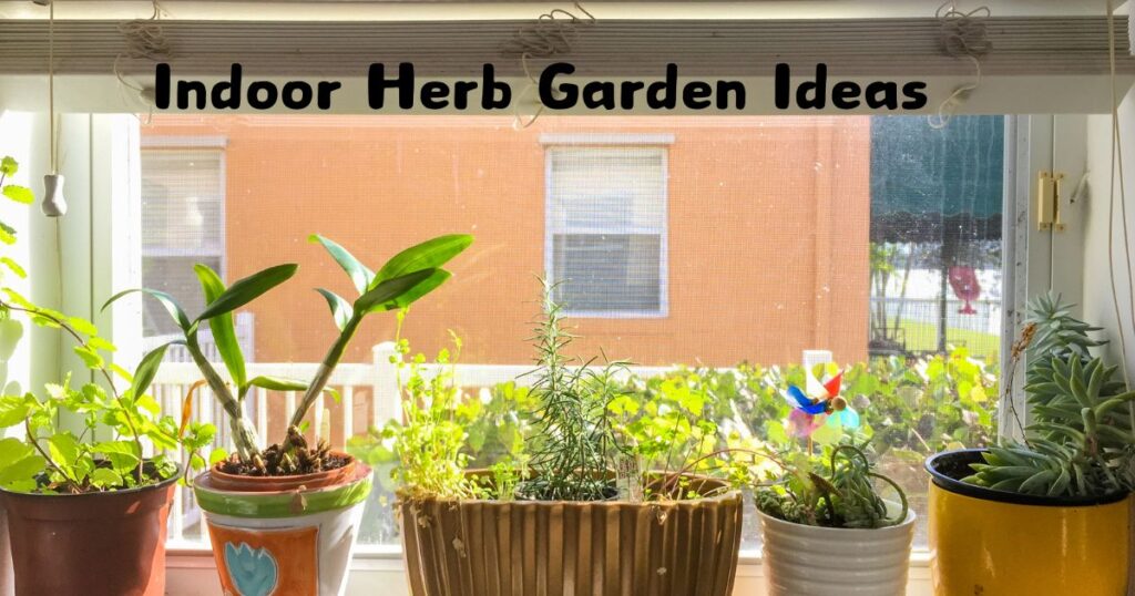 Indoor Herb Garden Ideas