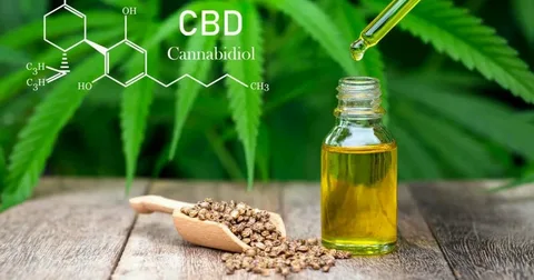 Best CBD Oil for Anxiety